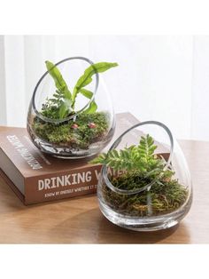 two glass vases filled with plants on top of a wooden table next to a book