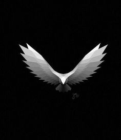 a white bird flying in the dark with it's wings spread out and eyes closed