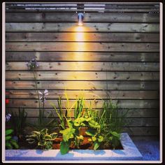 a planter filled with lots of plants next to a wooden fence and light fixture