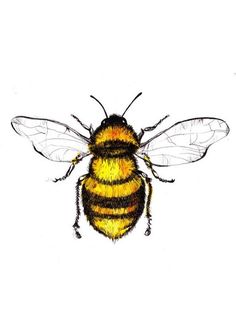 a drawing of a bee on a white background