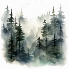 watercolor painting of trees in the fog