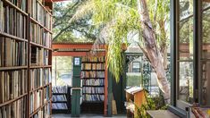 a library with lots of books on shelves and a palm tree in the corner next to it