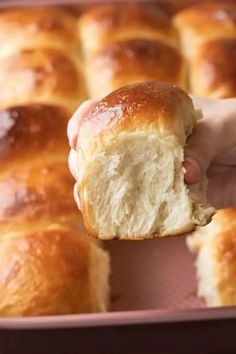 a close up of a person holding a piece of bread