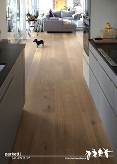 a dog is standing in the middle of an open kitchen and living room with hardwood floors