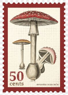 a stamp with mushrooms on it and the number 50 centis written in red ink