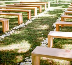 rows of wooden benches sitting on top of a lush green park covered in white flowers