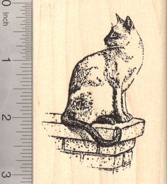 a rubber stamp with a cat sitting on top of a piece of wood next to a ruler