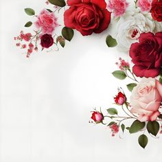 red and white roses with green leaves are arranged in a circle on a white background