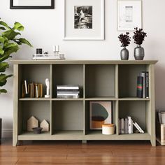 a shelf with books and pictures on the wall next to a potted plant in a living room