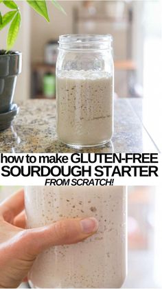 how to make gluten - free sourdough starter from scratch at home