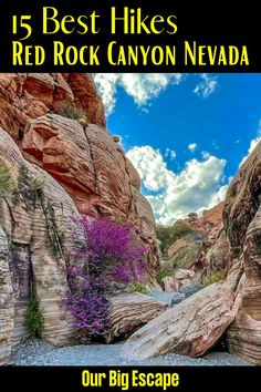 the red rock canyon nevada is surrounded by large rocks and purple flowers with text that reads, 15 best hikes red rock canyon nevada