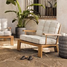 two wooden chairs sitting next to each other in front of a potted palm tree