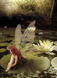 a fairy sitting on top of lily pads