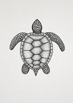 a drawing of a sea turtle in black and white on a light grey paper background