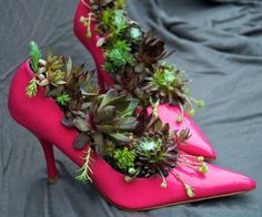 a pair of red high heels with succulents on them