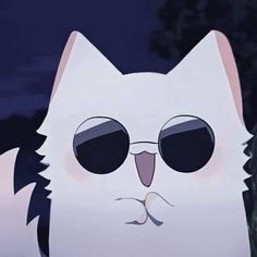 a white cat with round sunglasses on it's face