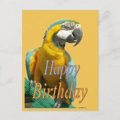 a happy birthday card with a parrot on it