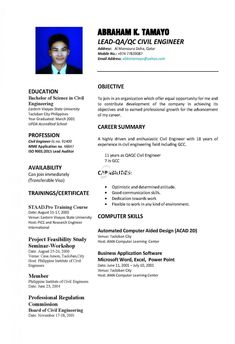 a professional resume with no work experience is shown in this image, it shows the profile and