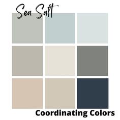 sand dollar, cityscape, heron plume, accessible beige, comfort gray, naval, and mindful gray are the coordinating colors for sea salt Sea Salt Blue Sherwin Williams, What Color Goes With Sea Salt Paint, Colors To Pair With Sherwin Williams Sea Salt, Sherman Williams Sea Salt Coordinating Colors, Accent Colors That Go With Sea Salt Paint, Hale Navy And Sea Salt, Sea Salt Bathroom With Gold, Colors That Go With Sea Salt Sherwin Williams, Sea Salt Whole House Color Scheme