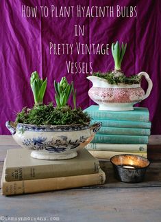 some books are stacked on top of each other and there is a bowl with plants in it