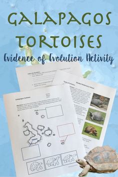 the galapagos tortoises evidence of evolution activity is shown in this book