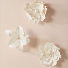 three white flowers on a pink background