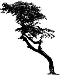 a black and white silhouette of a tree