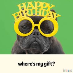 a dog wearing glasses with the words happy birthday written on it