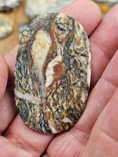 a close up of a person holding a rock in their hand with other rocks behind them