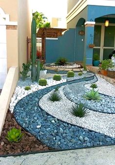 an outdoor garden with rocks and plants