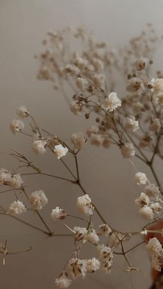 a person holding a vase with white flowers in it's hands and looking up at the ceiling