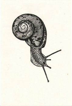 a black and white drawing of a snail