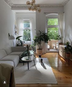 a living room filled with lots of furniture and plants on top of a hard wood floor