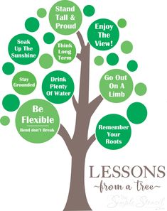 Lessons from a tree - large tree decal display for school walls to decorate and inspire students. Stand tall and pround, enjoy the view, soak up the sunshine, drink plenty of water....etc. School Wall Art Ideas, Classroom Tree, Educational Decor, Motivate Students, Tree Decal, Wall Tree, Classroom Charts, Tree Quotes, School Board Decoration