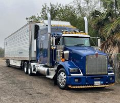 a blue semi truck is parked on the side of the road in front of some trees