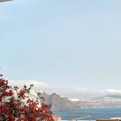 an outdoor dining area overlooking the ocean and snow covered mountains in the distance with red flowers