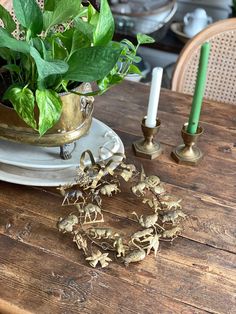 a wooden table topped with lots of green plants next to candles and flowers on top of it