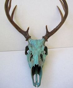 a deer's skull with large antlers mounted to the side of a wall