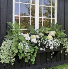 a window box filled with white flowers and greenery in front of a black building