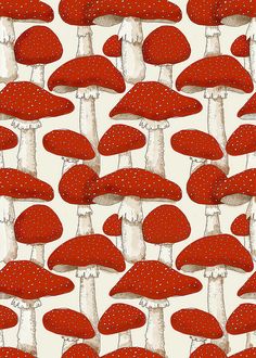 red mushrooms with white dots on them are shown in this pattern, which is very similar to