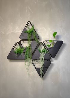 three triangular shaped metal shelves with plants growing from them on the side of a wall