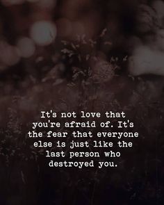 a quote that reads, it's not love that you're afraid or it's the fear that everyone else is just like the last person who destroyed you