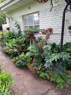 a house with lots of plants in front of it