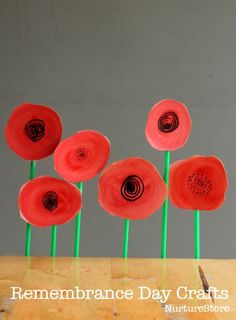 four red flowers with black centers are in the middle of three green stems on a gray background