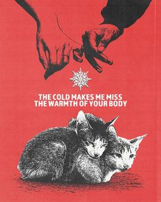 an advertisement for the cold makes me miss the warmth of your body, with two cats