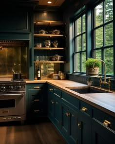 a kitchen with dark green cabinets and wood flooring is pictured in this image, there are pots on the window sill above the sink