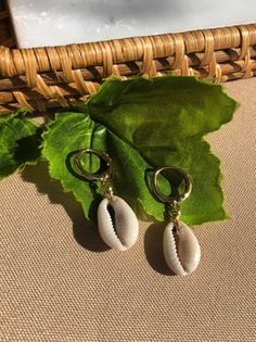 Cowrie Shell Earrings, Natural Cawrie Shell Hoops, Seashell Minihoop Earrings, Cowrie Boho Earrings, Handmade 14k Gold Filled Jewelry For The Beach, Bohemian 14k Gold Filled Jewelry For Beach, Shell Dangle Hoop Earrings For Beach, Handmade 14k Gold Filled Beach Earrings, Handmade 14k Gold Filled Earrings For Beach, Handmade 14k Gold-filled Earrings For Beach, Beachy Gold Dangle Earrings, Gold 14k Gold Filled Earrings For Beach, Ocean-inspired Dangle Hoop Earrings For Beach