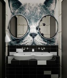 a cat's face is reflected in two round mirrors on the wall next to a bathroom sink