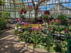 the inside of a greenhouse filled with lots of flowers