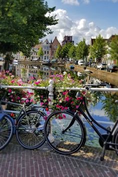 two bikes parked next to each other on a brick walkway near flowers and buildings with water in the background